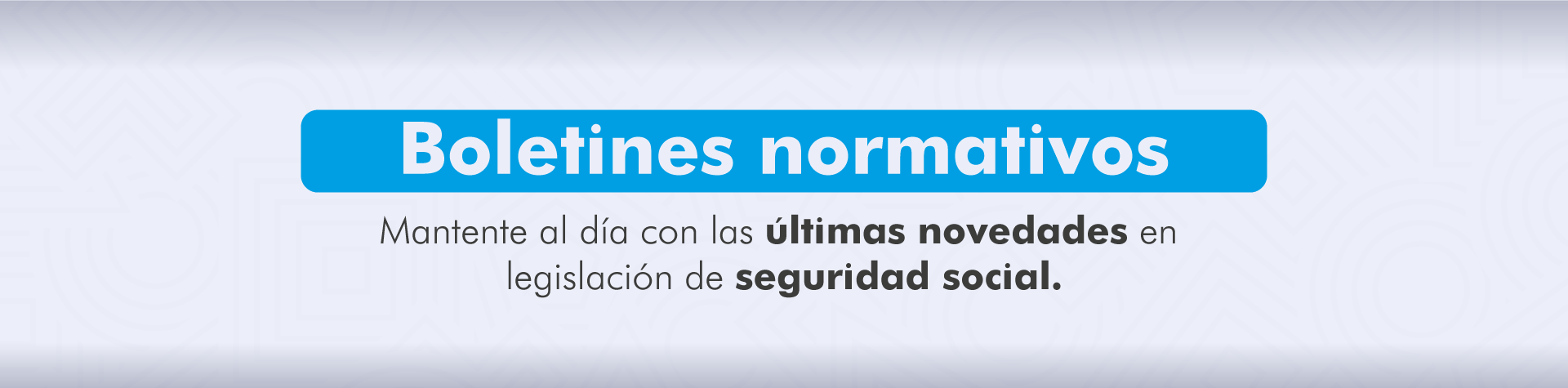 boletines2